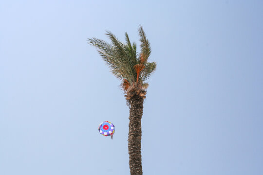 Parashuting Images – Browse 51 Stock Photos, Vectors, and Video | Adobe ...