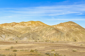 Petrified Forest National Park, Santa Cruz, Argentina