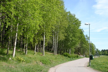 Waldrand