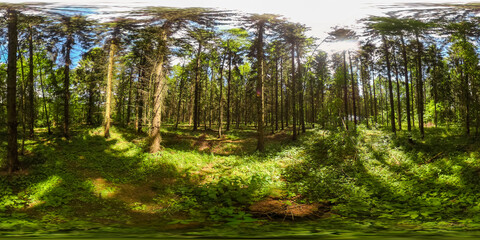 360 degrees spherical panorama of european forest with blue sky in the summer