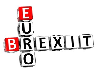 3D Crossword Brexit Euro over white background.