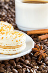 Dessert Macaron.