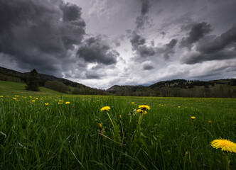 Gewitterstimmung bei Bernau-Innerlehen im Schwarzwald