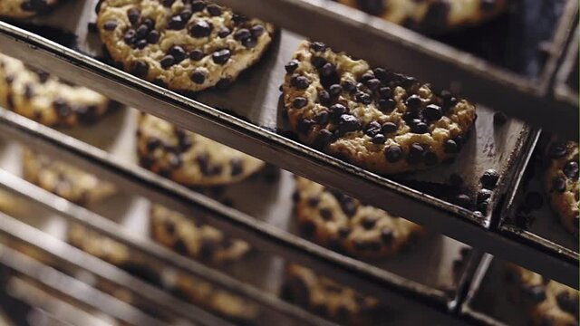 Chocolate chip cookies on trays