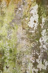 peeling paint pattern on mossy concrete wall texture