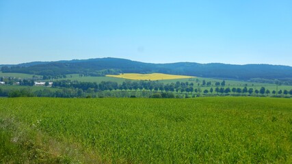 Fototapeta na wymiar panorama of a czech agricultural landscape