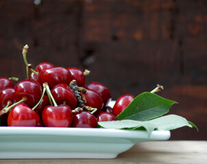 Fresh cherries on a tray