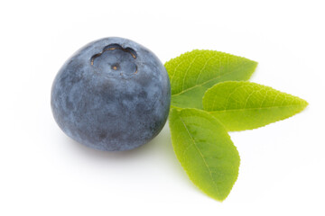 Fresh blueberries on a white background.