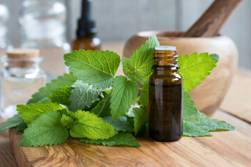 A bottle of melissa essential oil with fresh melissa leaves - obrazy, fototapety, plakaty