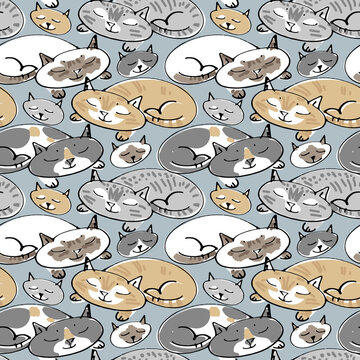 Seamless pattern with sleeping cats. Sketchy vector illustration. Hand drawn sleep cat in seamless pattern. Stylish colorful doodled background.