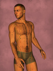 Acupuncture model, 3D illustration