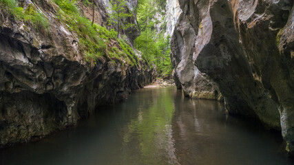 Fototapeta premium Corcoaia Gorge, Romania.