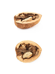 Cracked walnut composition isolated