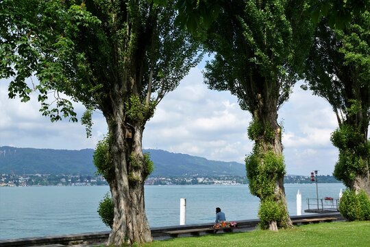 zollikon in der schweiz