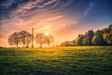 Bäume im Gegenlicht eines Sonnenuntergangs auf der Wiese