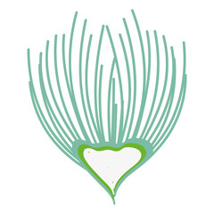 beautiful Flower decoration icon vector illustration design