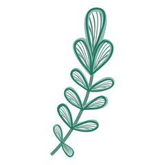 leafs plant ecology icon vector illustration design