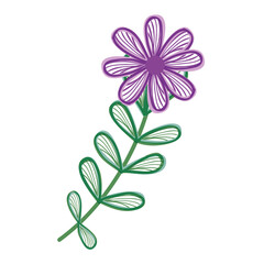 beautiful Flower decoration icon vector illustration design