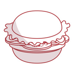 delicious hamburger fast food vector illustration design