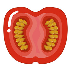 tomato fresh vegetable icon vector illustration design