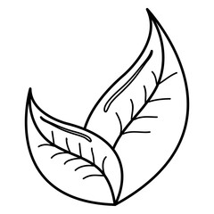 leafs plant ecology icon vector illustration design