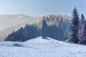 View of nature valley and snowy meadow