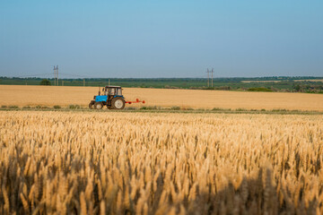 Tractor working on a wheat field
