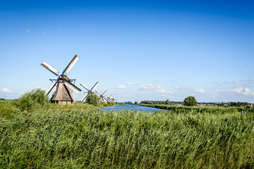 Naklejka premium Beautiful dutch windmill landscape at Kinderdijk in the Netherlands