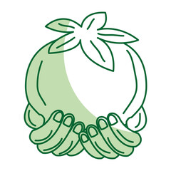 hands with tomato fresh vegetable icon vector illustration design