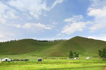 Fototapeta na wymiar The ger camp in Gorkhi-Terelj National Park at Ulaanbaatar , Mongolia