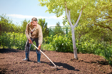 Farmer working in the garden with the help of a rake leveling plowed land, on a sunny day