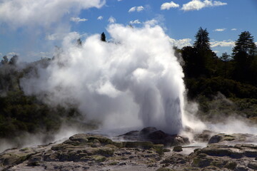 Fototapeta na wymiar A geothermal wonder in New Zealand - Pohutu Geyser, Rotorua