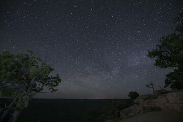 Fototapeta premium Starry Night