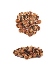 Pile of hazelnut shells isolated