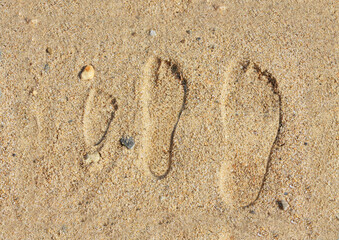 Fototapeta na wymiar Family footprints