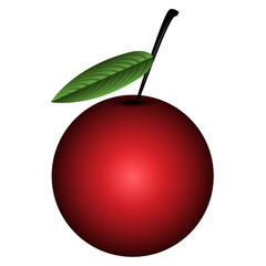 Isolated colored cherry