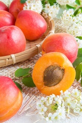 Ripe juicy apricots and a dolly apricot with a stone on a light background and flowers breakfast concept