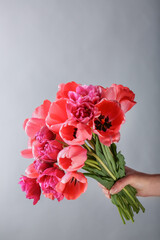 Female hand holding bouquet of fresh tulips on light background