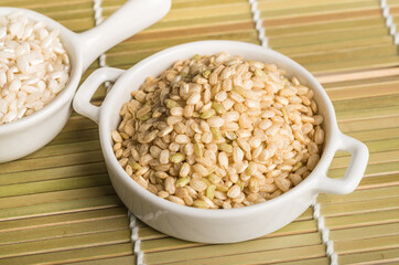 Rice
