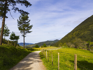 Fototapeta na wymiar Sendero dentro de un paisaje de montañas rodeado de césped en Vizcaya, País Vasco, visitado en Abril de 2017