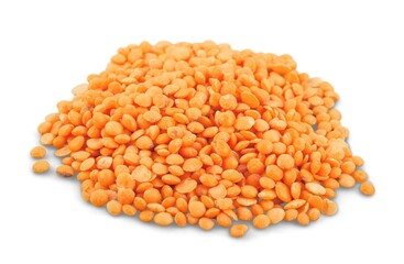 Lentil.