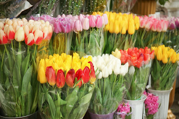 Beautiful tulips for sale outdoors