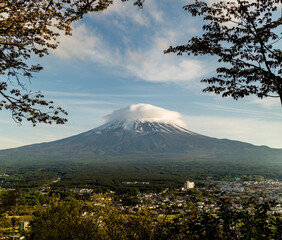 Mount Fuji Framed by Trees