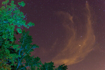 Stars