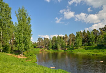 Summer landscape on the banks of the river Oredezh at Vyritsa in the summer