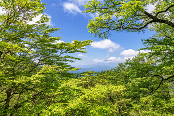 西丹沢から見る富士山