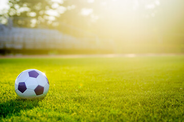 soccer ball pelota futbol © mauro