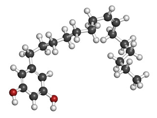 Bilobol ginkgo biloba molecule. 3D rendering. Atoms are represented as spheres with conventional color coding: hydrogen (white), carbon (grey), oxygen (red).