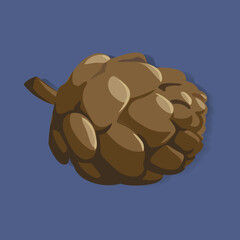 Pine Cone Graphic Illustration Vector