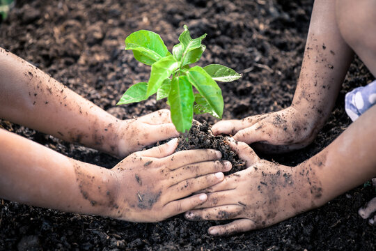 Two little girls hand planting young tree on black soil together as save world concept in vintage color tone